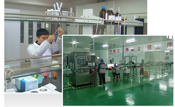 我们—10年耕耘，实力深厚